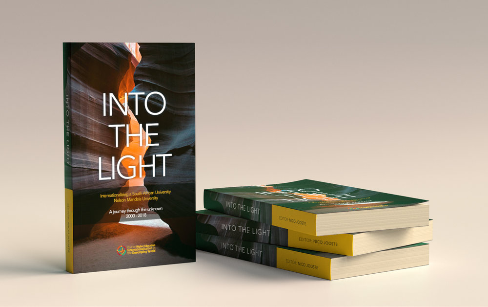 Into the Light book cover